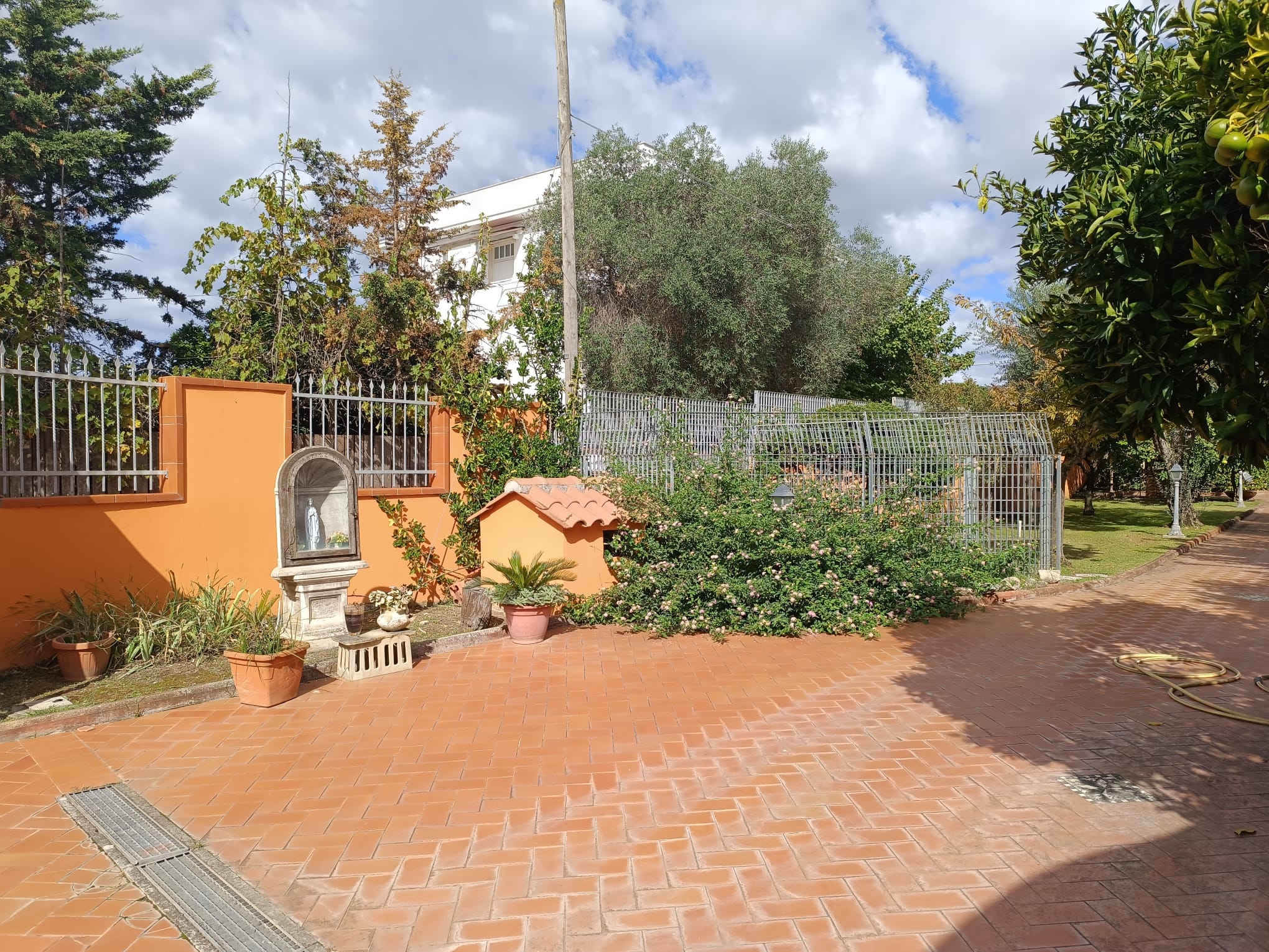 WhatsApp Image 2025-10-02 at 11.32.41.jpeg